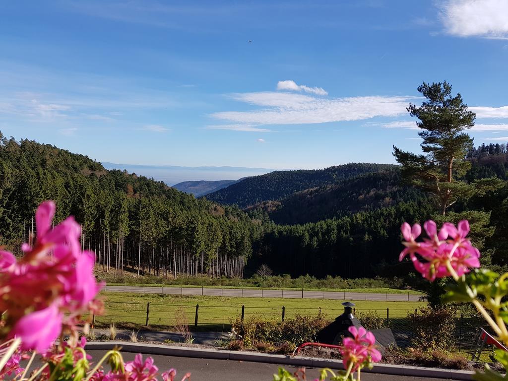 Les Gites D'Adelspach Gites & Spa En Alsace Aubure Exterior foto